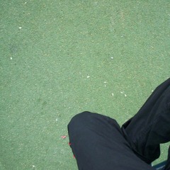 Les Fabuleux Oiseaux [video clip]