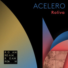 PREMIERE - Roliva and Technicism - Neumático (Roam Recordings)