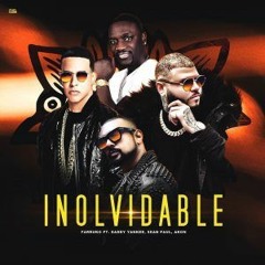 Farruko, Daddy Yankee, Sean Paul, Akon - Inolvidable (Mula & Rajobos Edit)