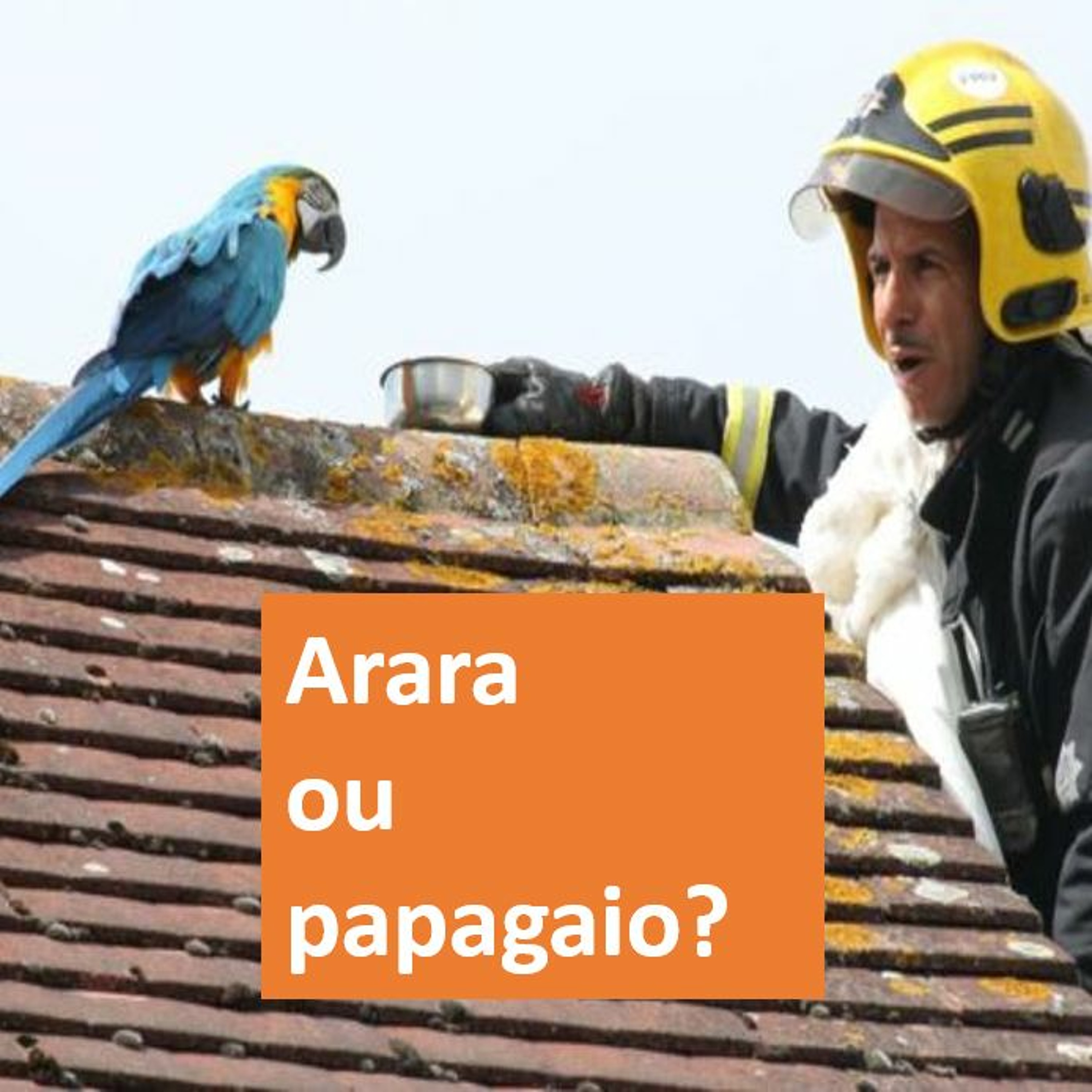 chá com rapadura