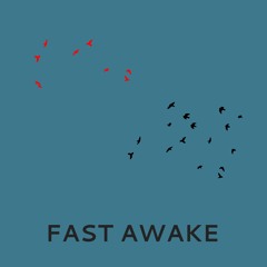 Ben Osborn - Fast Awake