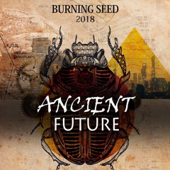 HEAVY FOOTER || Burning Seed 2018 @ Pelican Villa, Purple Peli Disco || 6am