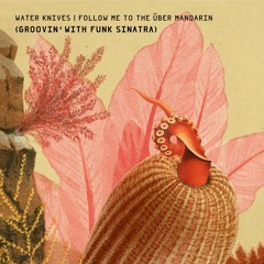 Water Knives - Follow Me To The Über Mandarin (Groovin' With Funk Sinatra)