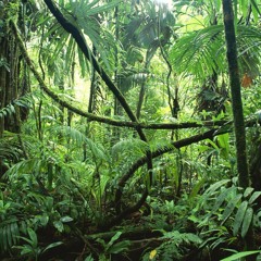 First Meeting/ Impro with Malick Kouyate