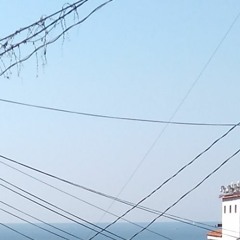 Chelsea Hotel No. 2 (reprise de Leonard Cohen)