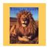 Lions Heart