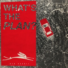 What´s The Plan - The Red Rabbit