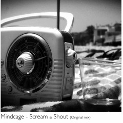 MINDCAGE - Scream & Shout (Dance FM Edit)