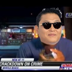 Psy Interrupts A News Reporter