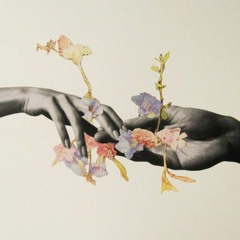 Sin Nombre - Vente Conmigo