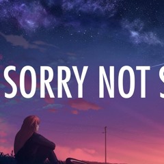 Sorry Not Sorry - GunSmoke~(Im Sorry Remix)