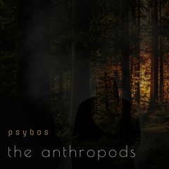 The Anthropods
