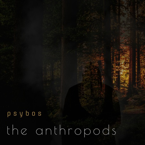 The Anthropods