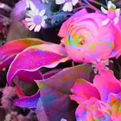 stuck in an elevator (prod. camboolin)