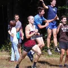 Animal Collective - Always you