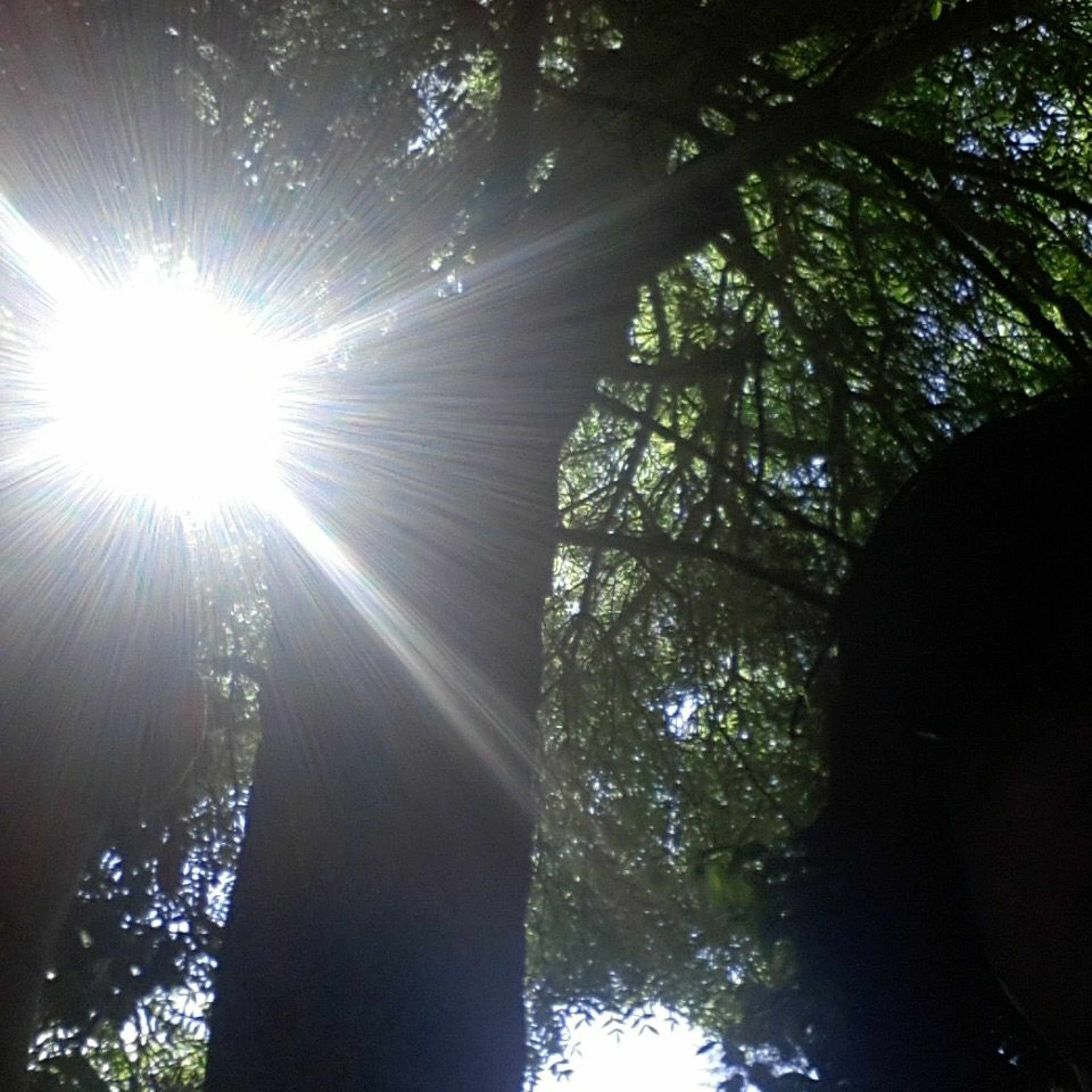 Collaborations/Remixes (Via Sound Cloud)