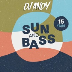 DJ ANDY & STAMINA MC - SUN AND BASS 2018