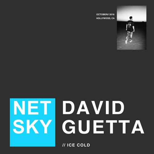 Netsky & David Guetta Ice Cold