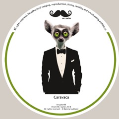 Caravaca - Hot Vice