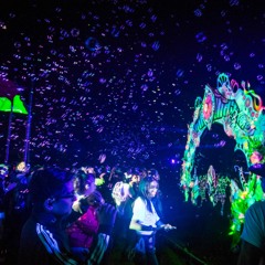 DJ SET En Vivo -Jungle Groove 6