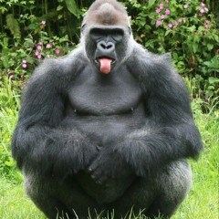 SuperSoul - March 2018