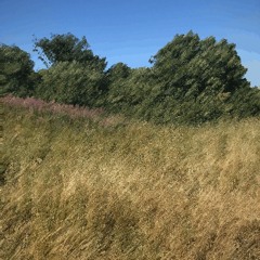 Bina (feat. Alex Szotak & NOSA)