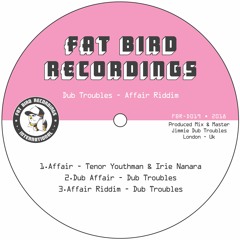 Affair - Irie Nanara & Tenor Youthman + Dub Version