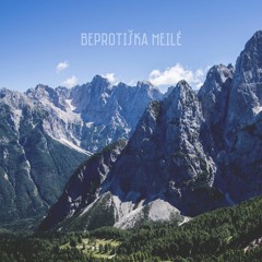 Beprotiška meilė