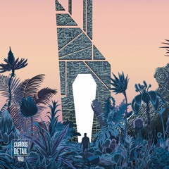 Curious Detail - Where The Sea Meets The Sky (Nau)- FREE DOWNLOAD