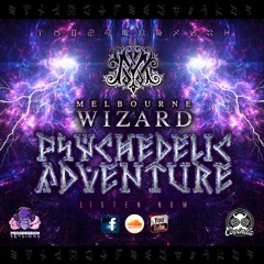Psychedelic Adventure 2018