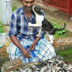 عيسى المنياوى الخضراء والسماك.MP3