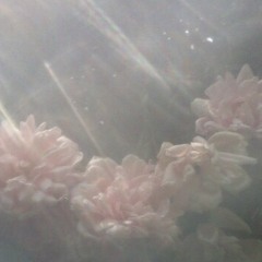 𝘮𝘰𝘪 𝘤’𝘦𝘴𝘵