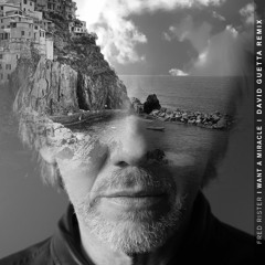 Fred Rister - I Want A Miracle(David Guetta Remix)