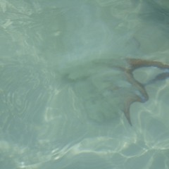 Sentimiento  Oct 2018