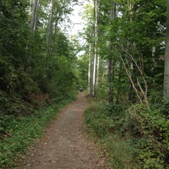 to the unknown