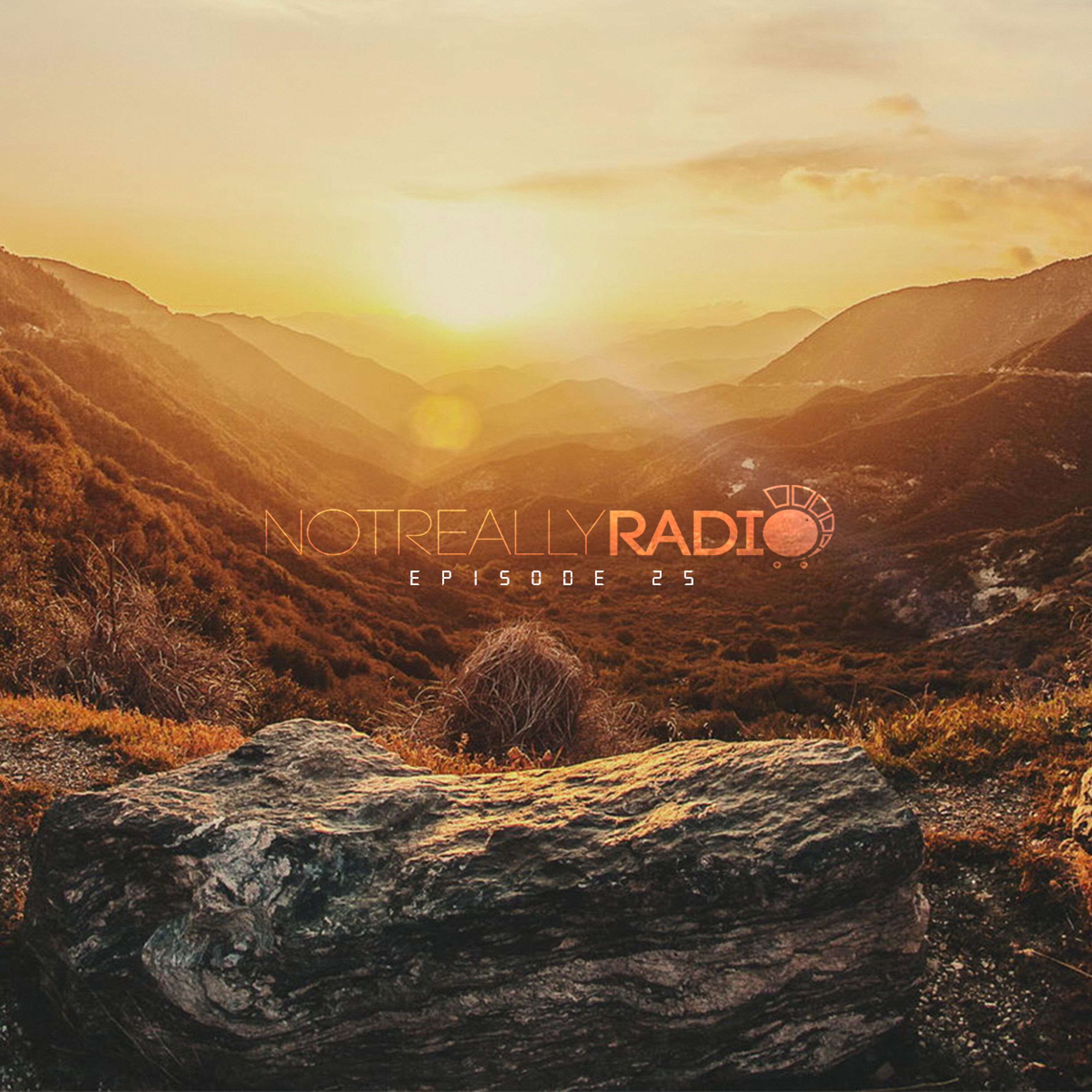 Not Really Radio Episode 25 episode artwork
