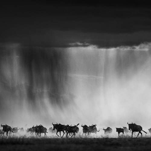 EXODUS