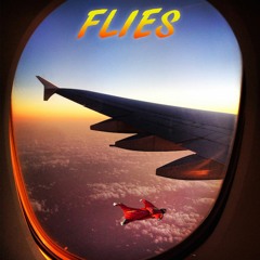 Flies