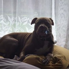 01 REC - 2018 - 10 - 12