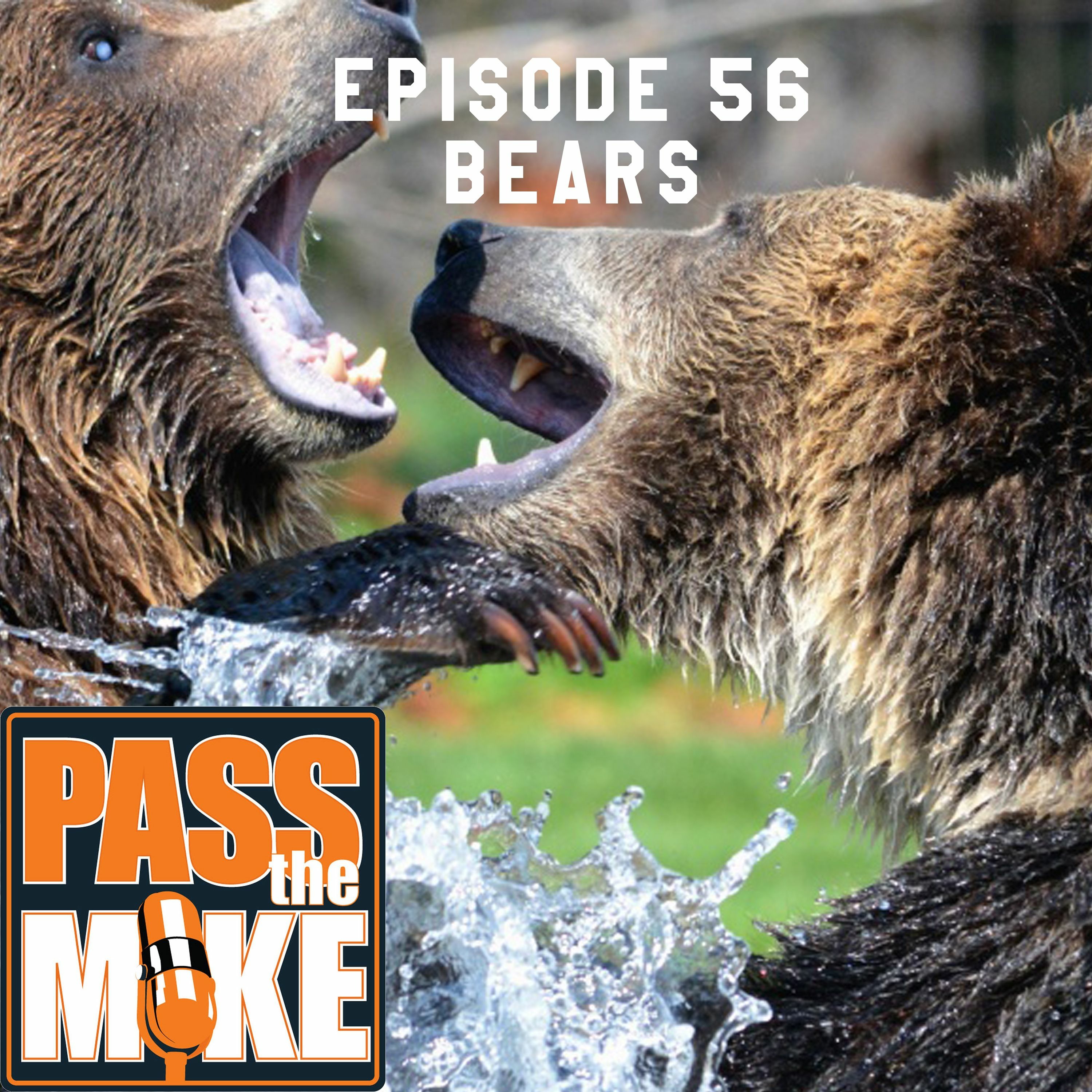 PTM(episode 56) - BEARS