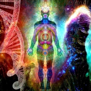 Progressive Transmutation - [FREE WAV DOWNLOAD] at description