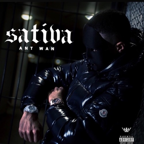 Ant Wan - Sativa