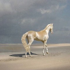 tay-k - the race | V