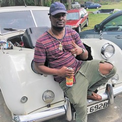 Dat Ting ( John Doe , Elephant Man Feat P-Dubb Mancini)