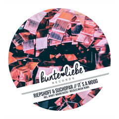 PREMIERE: Riepshoff & Suchopar - It´s A Moog (Mauro Basso Remix)[Bunte Liebe Records]