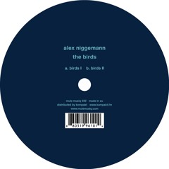 b1 birds II