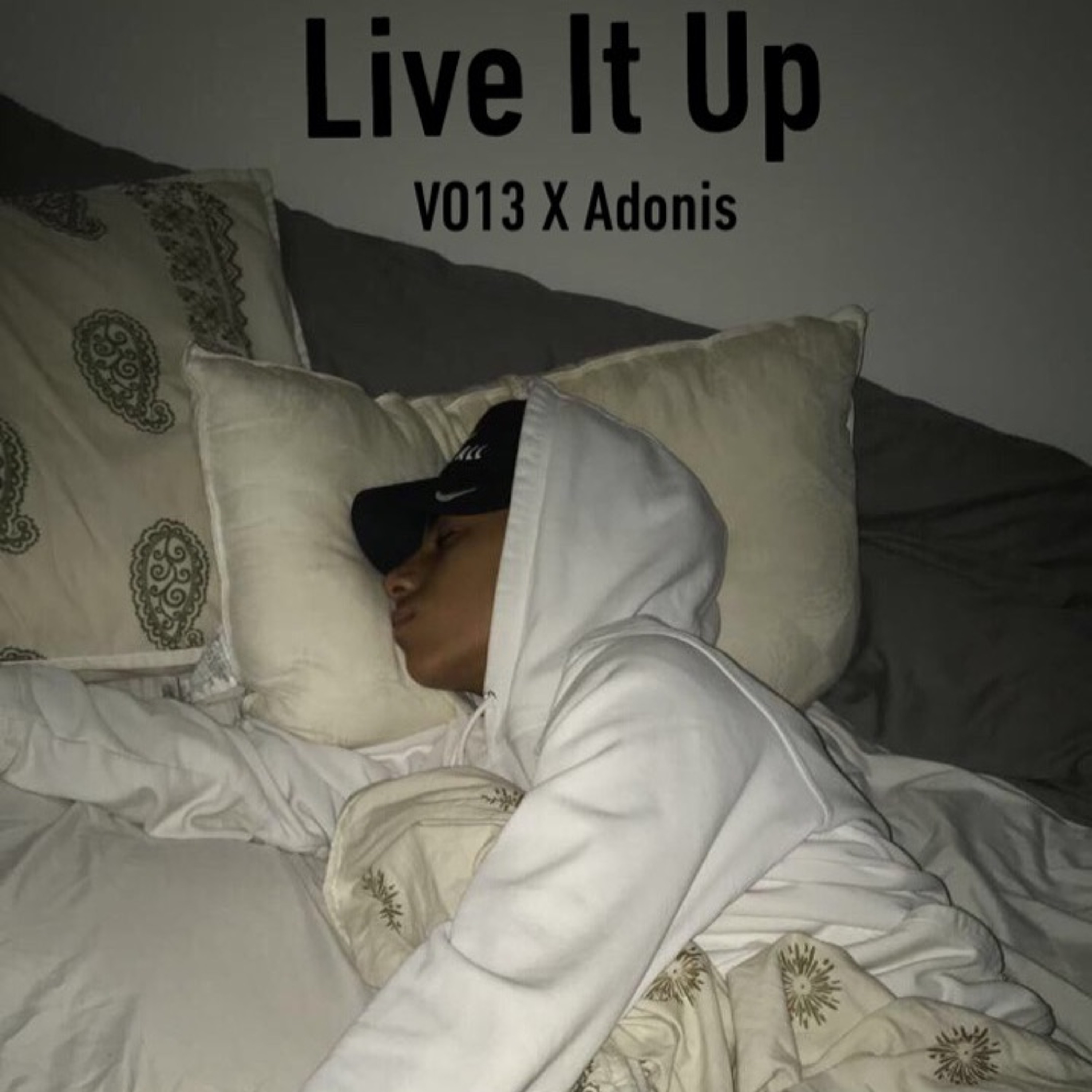 VO13