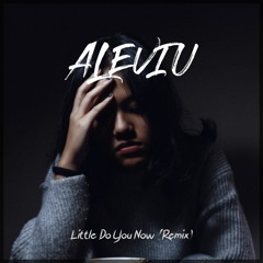 Little Do You Now (Aleviu Remix)