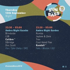 Blindside Sun and Bass Calibre Curates 20180913