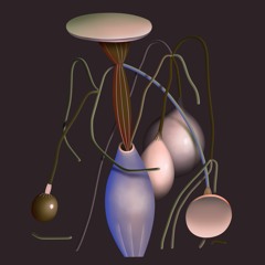 Cook Strummer - Fallen - Remixes